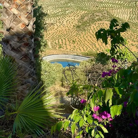 Casa De Olivos Carola